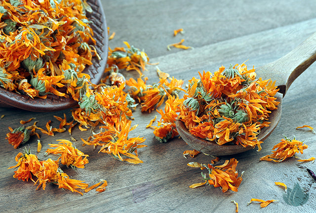 Calendula - More Than Just A Pretty Flower