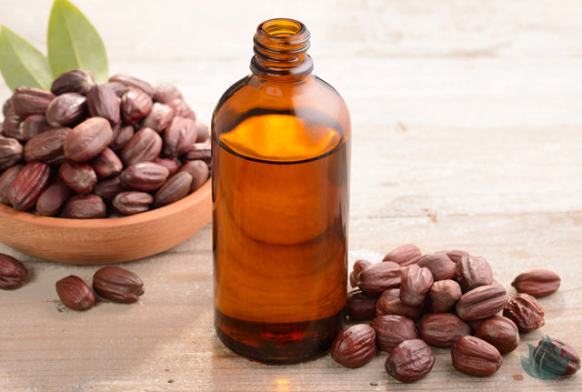 Topical Healing Benefits of Jojoba Oil in Skincare and Hair Products