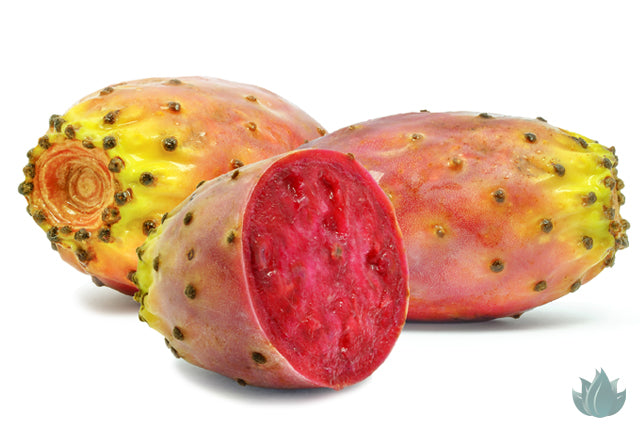 Prickly Pear Seed Oil 100% Pure Organic, Natural, Rich in Antioxidants and  Vitamins
