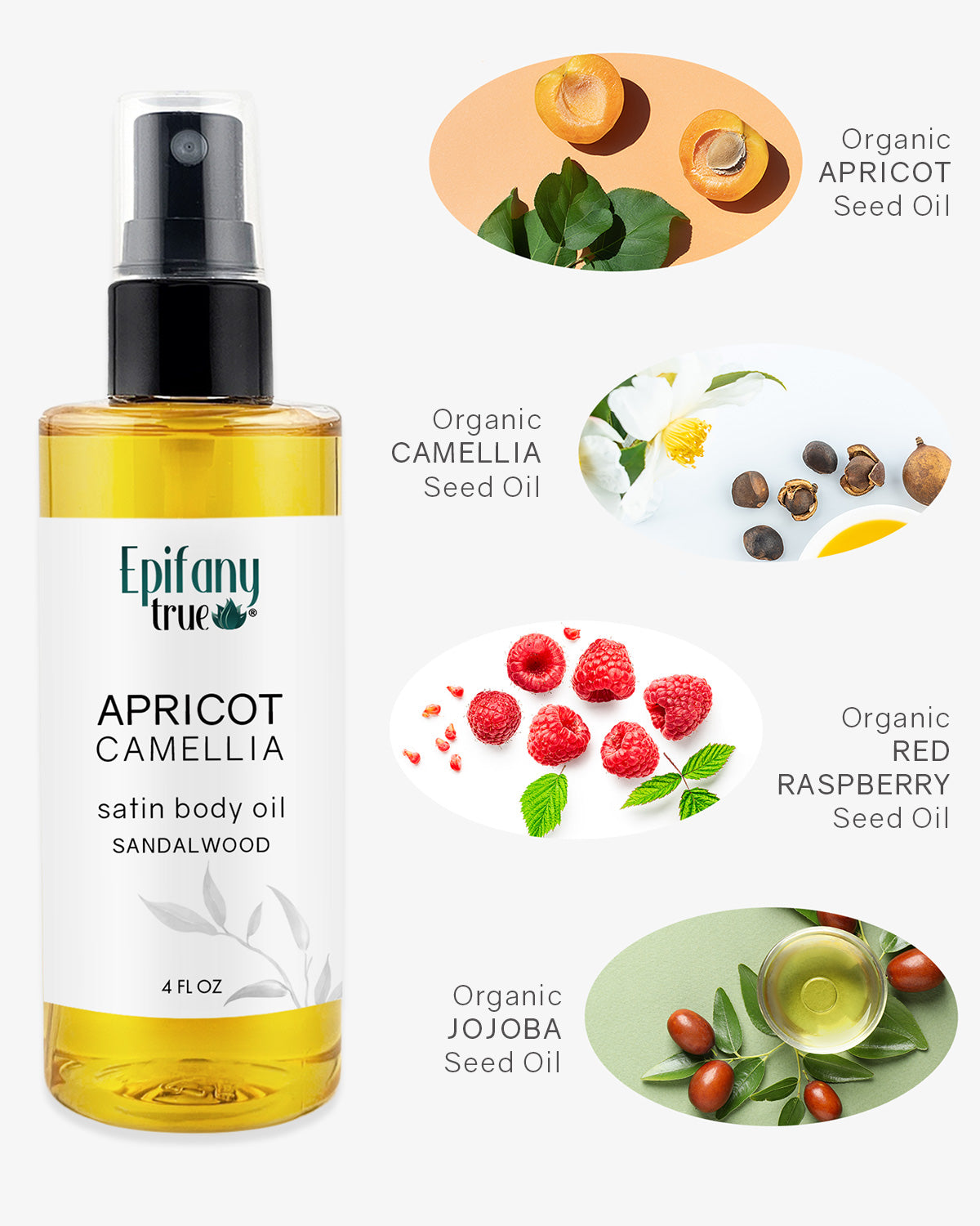 Apricot & Camellia Satin Body Oil 4oz