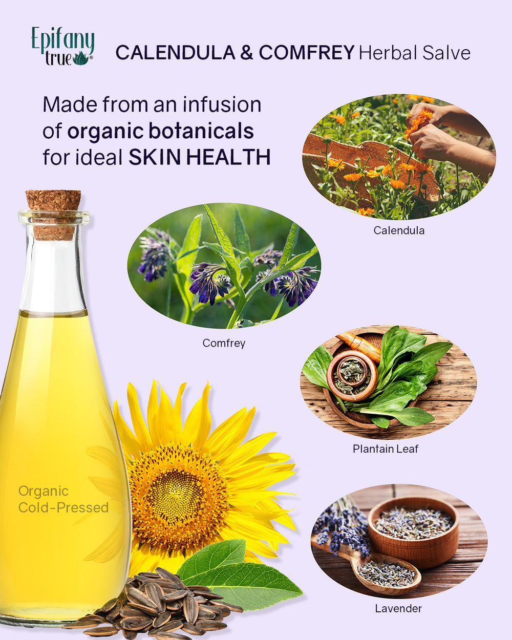 Epifany True Calendula Comfrey Herbal Salve 2oz infographic organic infused herbs